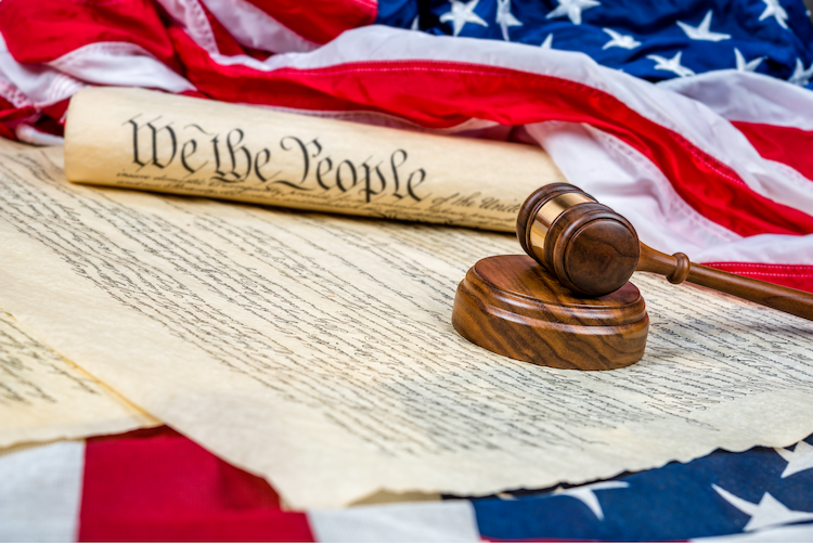 constitutional law